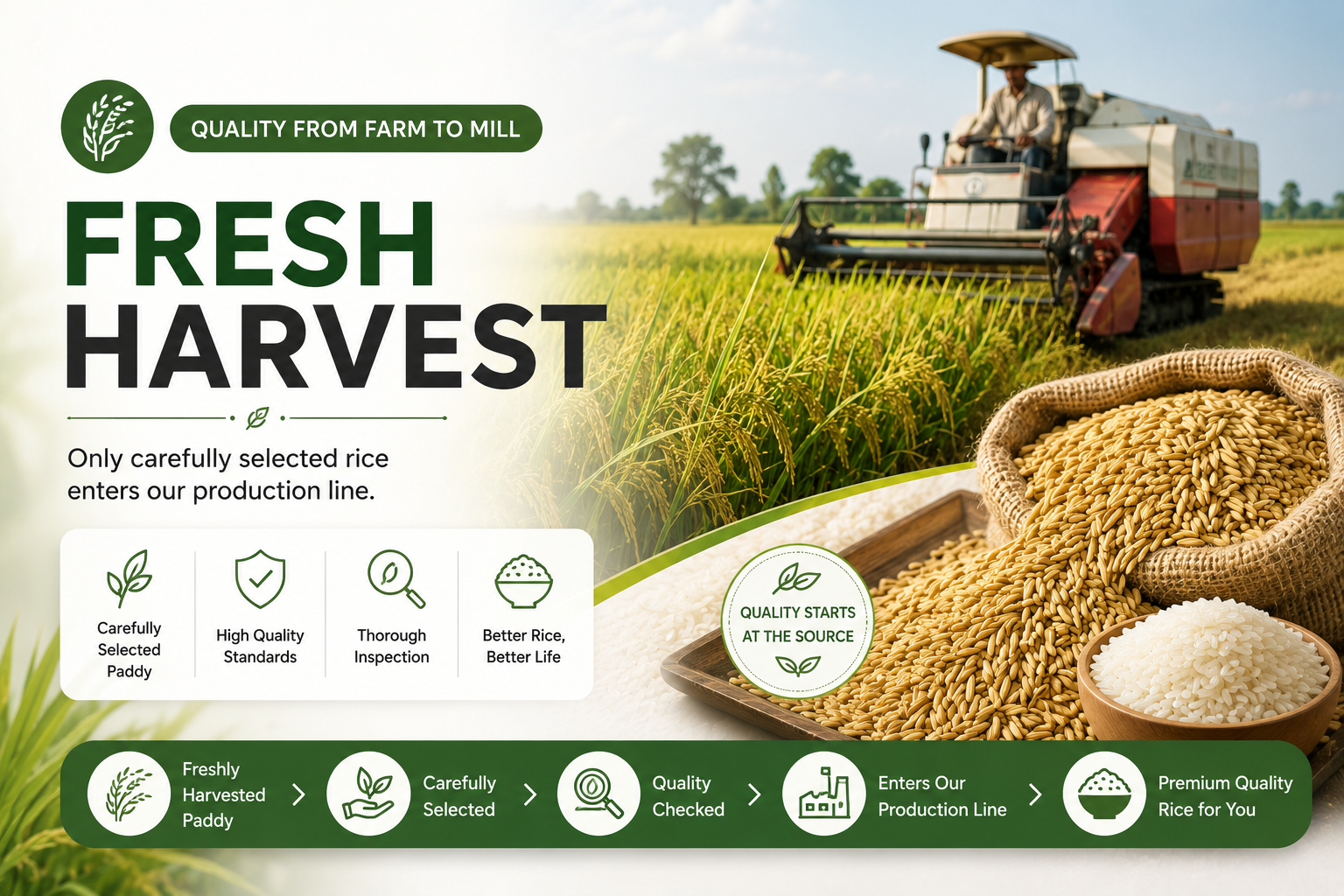 Fresh Harvest