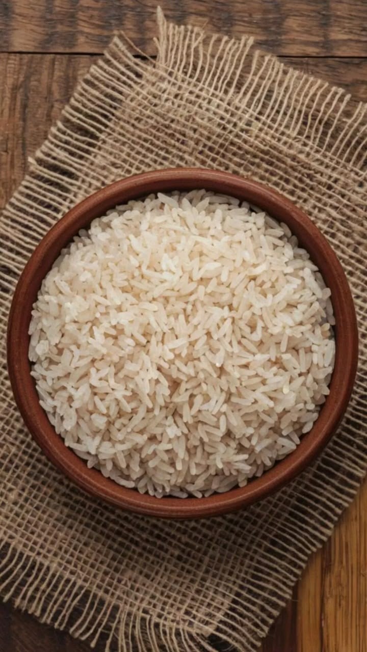 Steam 1121 Rice One
