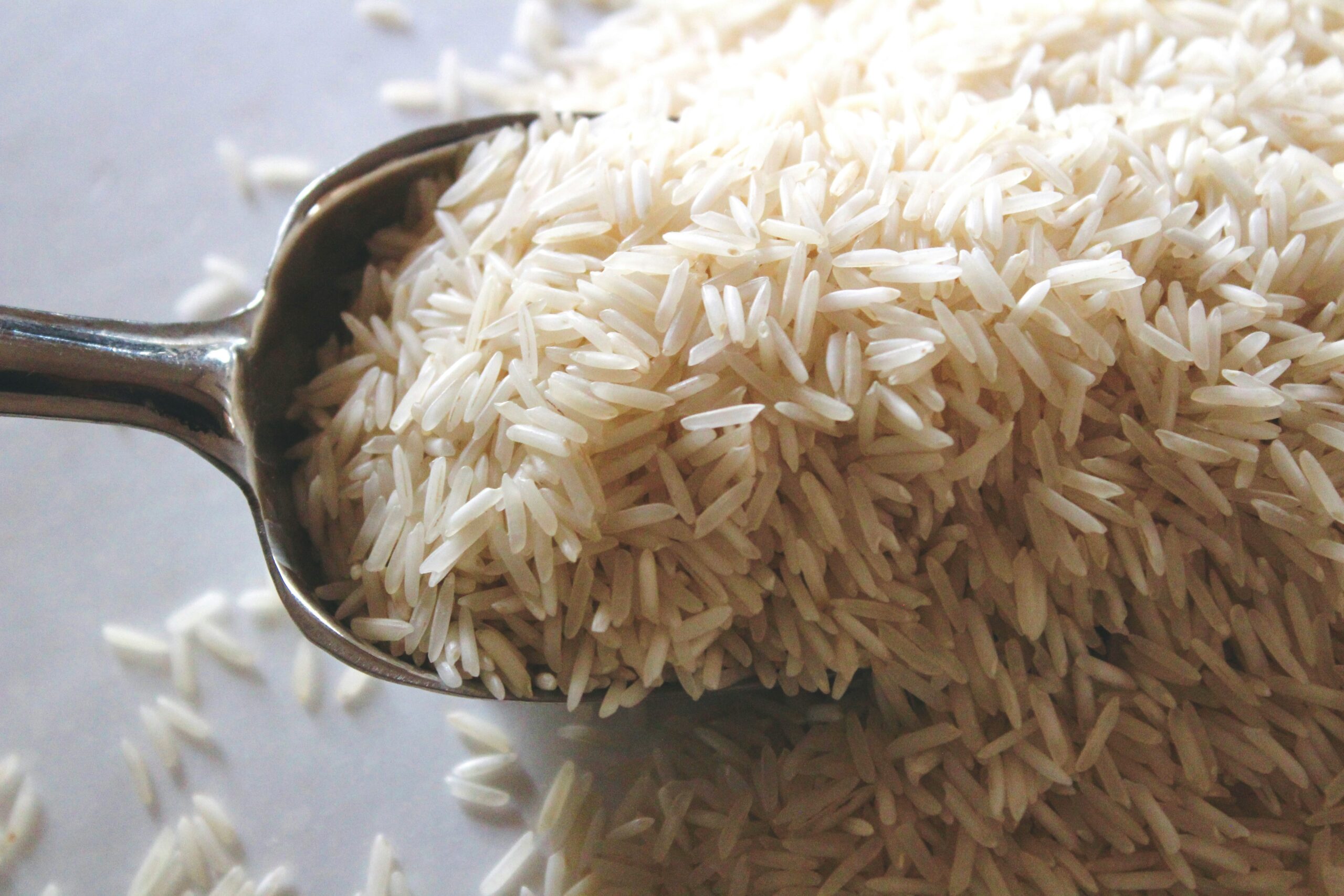 Steam 1121 Rice One